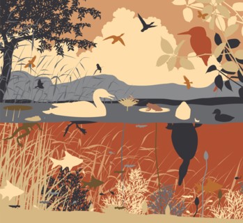 EPS8 editable vector illustration of diverse wildlife in a freshwater ecosystem with all figures as separate objects