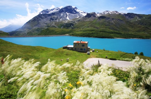 Bright blue lake and flowers in wind on Lac du Mont Cenis France