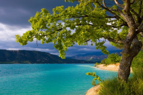 Lac de Sainte Croix, France, Europe, Provence, Alpes-de-Haute-Provence, lake, sea, reservoir, shore, trees, oak, clouds, thunder