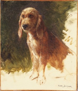 Bonheur, Rosa, Study of a Dog, possibly 1860s