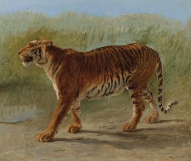 Royal tiger marching