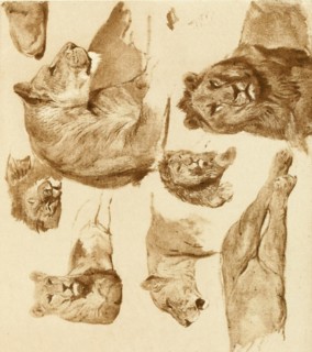 . Atelier Rosa Bonheur. Animals. . Please note that these images are extracted from scanned page images that may have been digitally enhanced for readability - coloration and appearance of these illus...