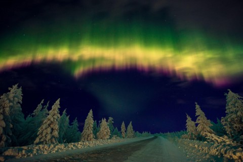 Amazing multicolored Aurora Borealis also know as Northern Lights in the night sky over snow covered forest