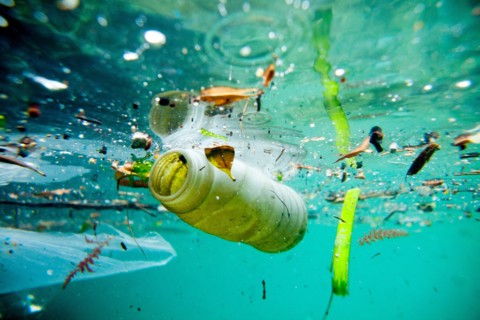 Trash floating on the Marseille shore line, Bouches-du-Rhône, France. Water pollution is largely caused by human activity and has had a major impact on our local waterways and their ability to be heal...