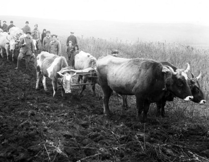The Holodomor was a man-made famine in the Ukrainian Soviet Socialist Republic in 1932 and 1933 that killed an estimated 2.5-7.5 million Ukrainians, with millions more counted in demographic estimates...