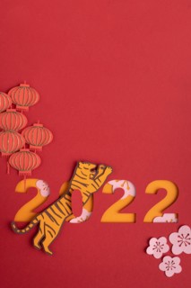 Chinese New Year. Decoration with traditional Chinese New Year motifs, cut out paper decorations on red cardboard background. Copy space.