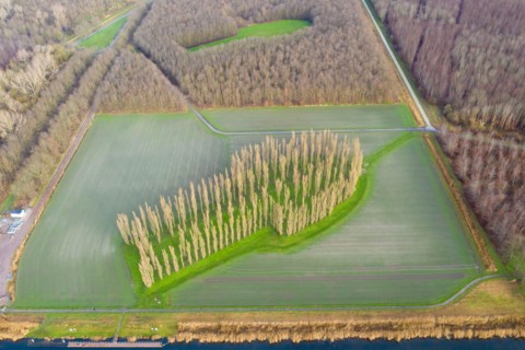 The Green Cathedral, The Netherlands
