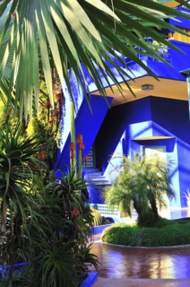 Vivid colours -cobalt blue and chrome yellow  adorn cacti pots and its house walls at the Majorelle Garden or Jardin Majorelle, Marrakesh, Morocco