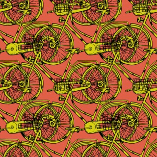 Bicycle with Cart