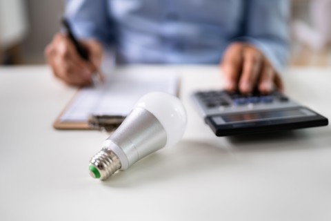 Light Bulb Finance Calculator And Saving Money