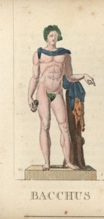 Bacchus, Roman god of wine, with grapes and leopard skin.