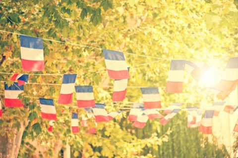 French flags garland, plane trees and sun background in a village square
