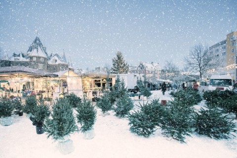 Winter view with market stalls selling christmas trees on the Nieuwmarkt square during snowfall in Amsterdam, The Netherlands