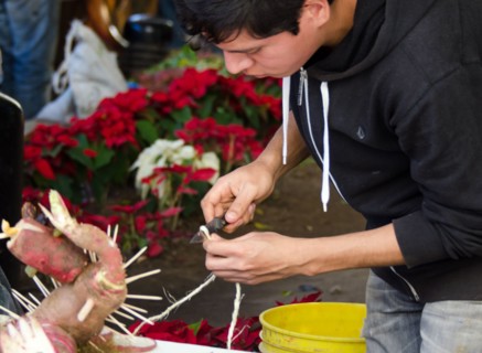 Young man assembling radish sculpture for Noche de Rabanos, Oaxaca, Mexico.