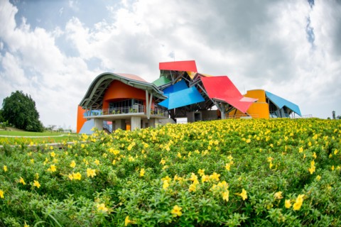 PANAMA CITY, Panama--Opened to visitors in October 2014 and housed in a distinctive building designed by famous architect Frank Gehry, the Biomuseo focused on the biodiversity of Panama and the specia...