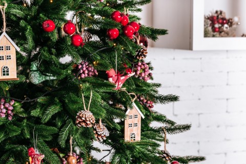 Christmas tree in Christmas living room. Beautiful New Year decorated classic home interior. Winter background