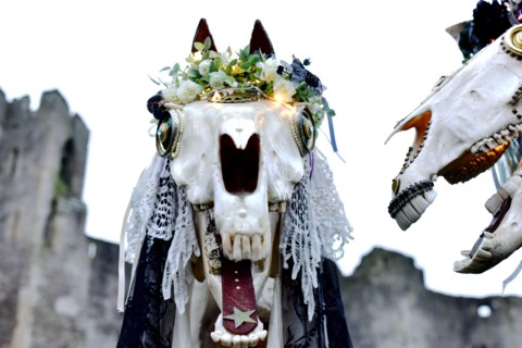 CHEPSTOW, UK. 20 January 2018. Sue Exton and John Exton from Monmouth. Chepstow Wassail and Mari Lwyd (the Grey Mare) celebrations. Itâ€™s a pre-Christian Welsh folk tradition that is said to bring go...