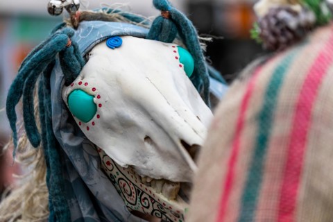 Chepstow, Wales, UK. 19th January 2019. 3pm Saturday 19th January 2019: Chepstow, Wales. The ancient Welsh tradition of Mari Lwyd sees decorated horse skulls  carried from door to door. Morris Dancers...