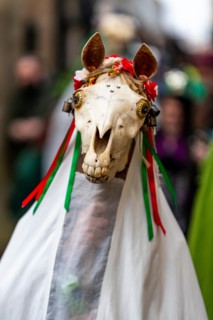 Chepstow, Wales, UK. 19th January 2019. 3pm Saturday 19th January 2019: Chepstow, Wales. The ancient Welsh tradition of Mari Lwyd sees decorated horse skulls  carried from door to door. Morris Dancers...