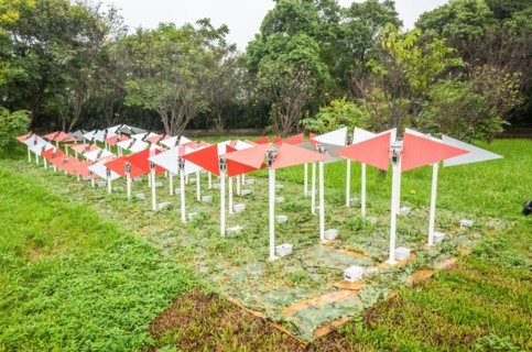 Taoyuan Land Art Festival in the raining day