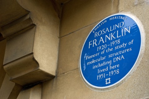 english heritage blue plaque marking a former home of pioneering scientist rosalind franklin, noted for her work on dna, kensington, london, england