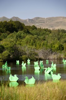 The Land Art work called "Origamis", carried out by Antoine MILIAN, the French visual artist. Origami cranes and ducks.
