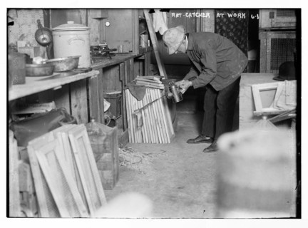 Rat catcher at work LCCN2014680032