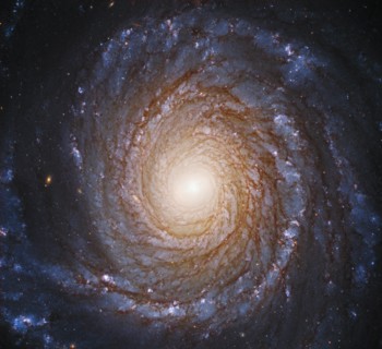 The graceful, winding arms of the majestic spiral galaxy NGC 3147 appear like a grand spiral staircase sweeping through space in this Hubble Space Tel