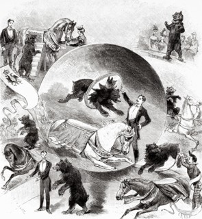 Caviar bear exercises at the Nouveau-Cirque in Paris 1888. Was a circus located in Paris, 251 Rue Saint-Honoré. It was inaugurated on February 12, 1886. France. Europe. Old 19th century engraved illus...