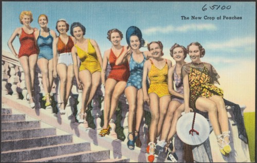 The new crop of peaches , Tichnor Brothers Collection, postcards of the United States