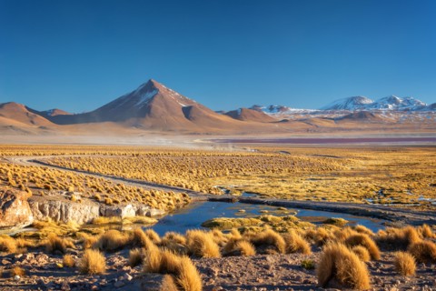Landscape of the altiplano in Bolivia