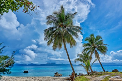 Doini Island is located in the heart of Milne Bay, on the eastern tip of Papua New Guinea. This plantation was originally surveyed by a government sur