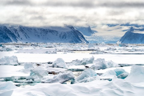 Pack ice in the arctic circle at 80 degrees north, with the mountains and glaciers of Svalbard in the backgound and gulls on the ice in the foreground