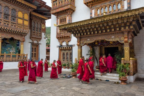 Monks in Punakha Dzong, Punakha, Bhutan