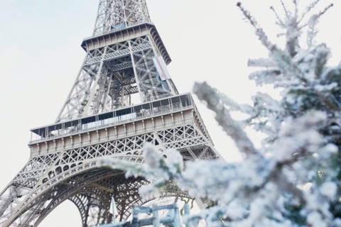Christmas tree covered with snow near the Eiffel tower in Paris, France