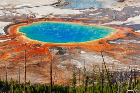 Grand Prismatic Spring, Midway Geyser Basin, Yellowstone National Park