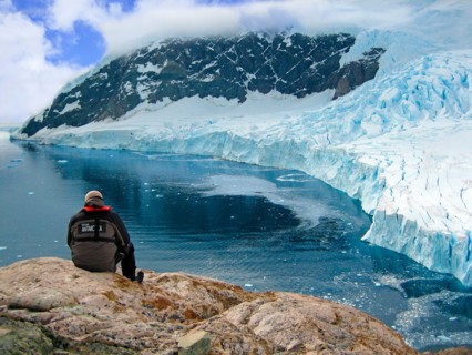 Neko Harbor, Gerlache Strait, Antarctic Peninsula, Antarctica, Polar Regions