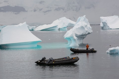 Icebergs of Curverville Island on the Antarctic Peninsular, which is one of the fastest warming places on the planet,