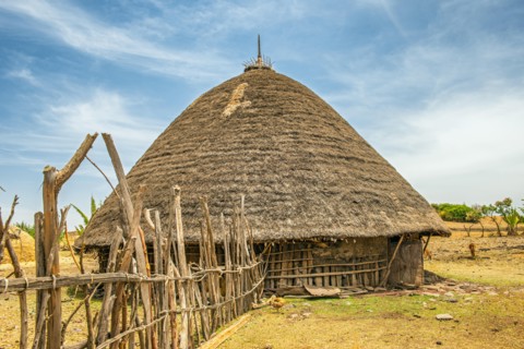 Traditional village house near Addis Ababa, Ethiopia, Africa