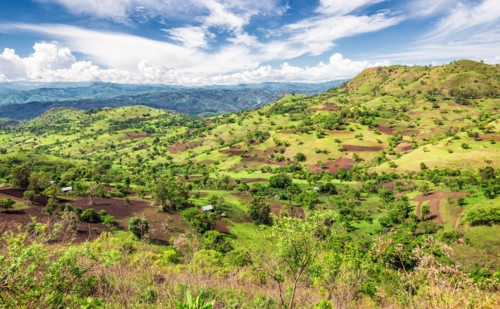 View of the Bonga forest reserve in southern Ethiopia