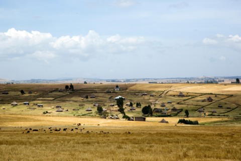Landscape of rural Ethiopia with Straw huts in an Ethiopian village
