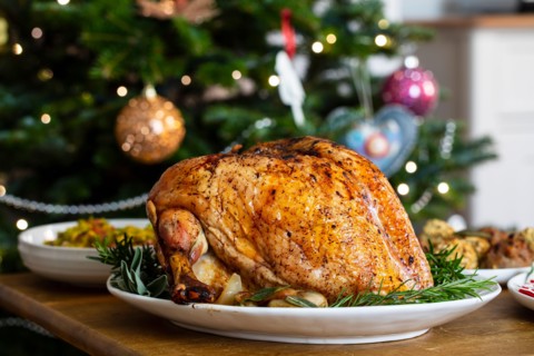 Christmas dinner with roast turkey crown and vegetables