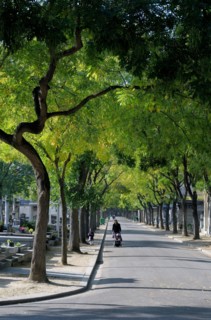 Montparnasse Cemetery, Cimetière du Montparnasse, Paris, France