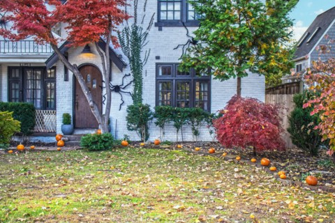 Closeup of entrance to white brick detached house with vinces and autumn maple trees decorated with pumpkins in garden and giant Halloween spiders cra