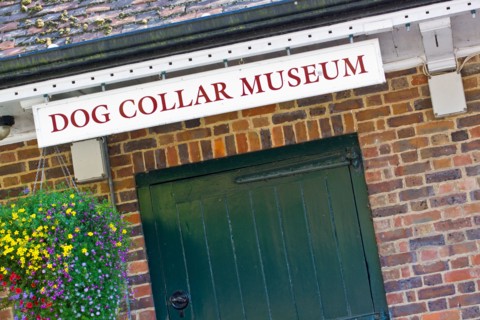 Dog Collar Museum at Leeds Castle Kent
