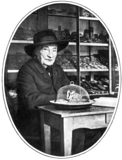 Jean-Henri Fabre, French Entomologist