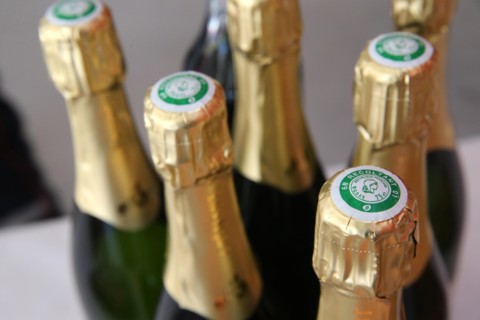 Bottles of Champagne. France.