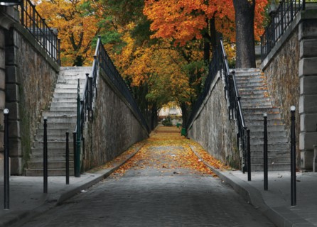 Autumn park with road scenic (perspective alley). Montmartre Cemetery. Paris, France