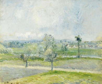 Camille Pissarro
Ecole française
Effet de pluie au Valhermeil, Auvers-sur-Oise
1881
Huile sur