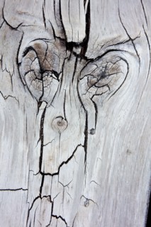 Pareidolia of a recognizable face on wood.
